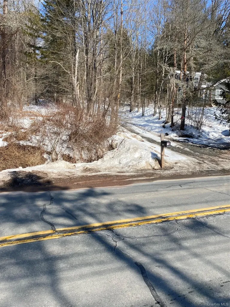 1432 Old Route 17 Roscoe NY 12776