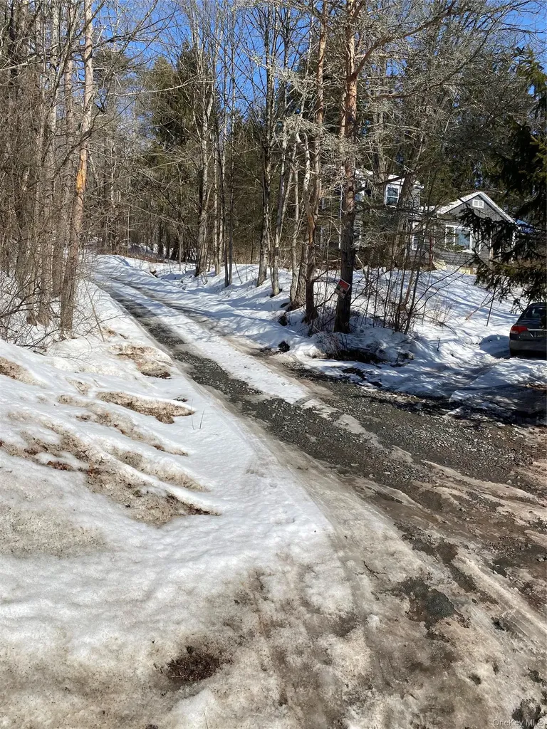1432 Old Route 17 Roscoe NY 12776