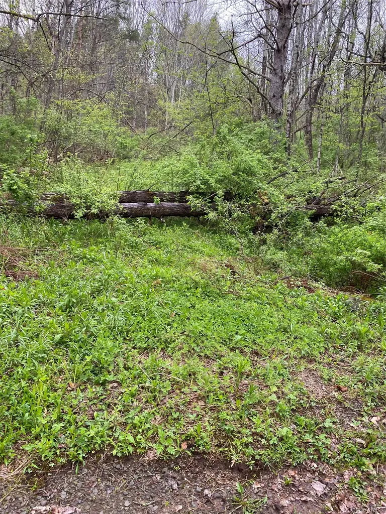 1432 Old Route 17 Roscoe NY 12776
