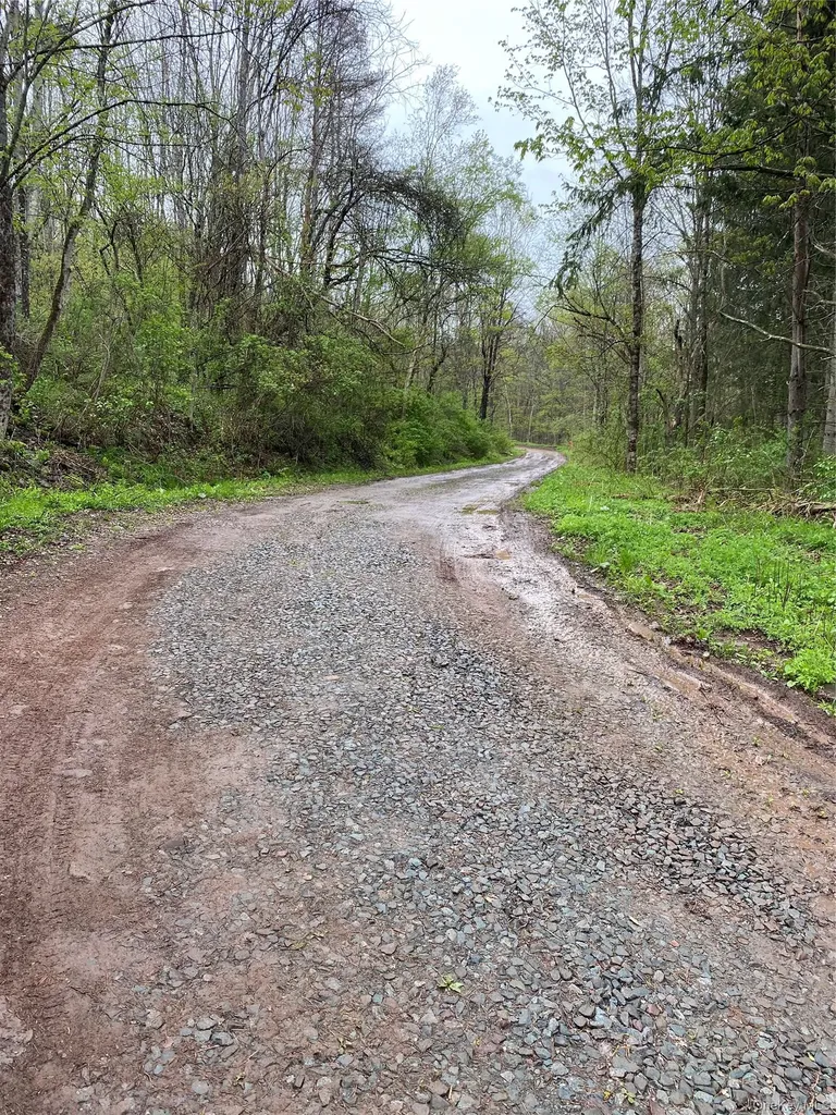 1432 Old Route 17 Roscoe NY 12776