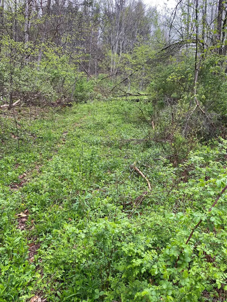 1432 Old Route 17 Roscoe NY 12776