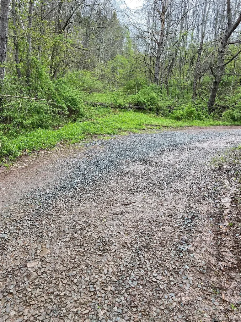 1432 Old Route 17 Roscoe NY 12776