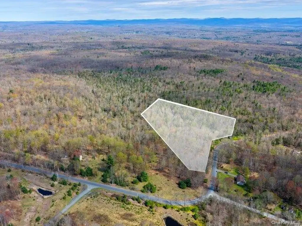 Taylor Road Fallsburg NY 12733