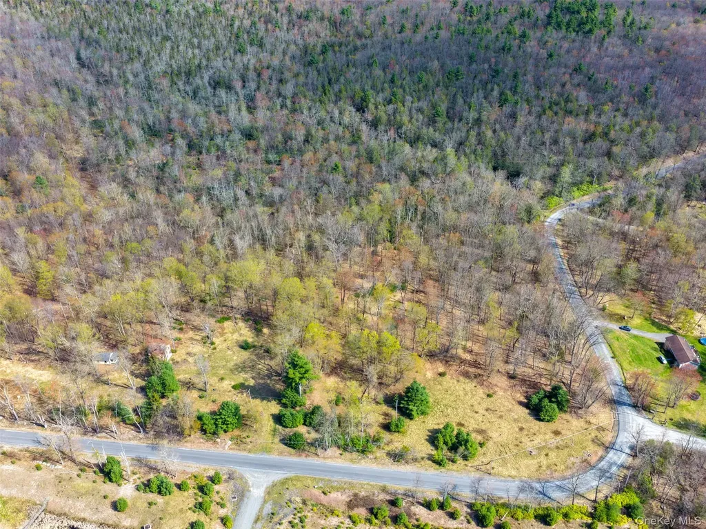 Taylor Road Fallsburg NY 12733