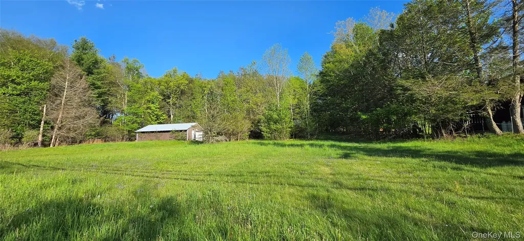 20 Hasbrouck A Road Loch Sheldrake NY 12759