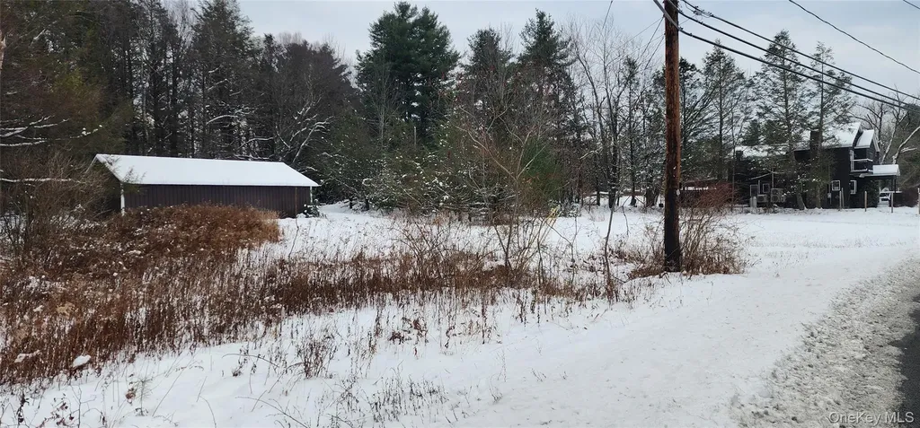 20 Hasbrouck A Road Loch Sheldrake NY 12759
