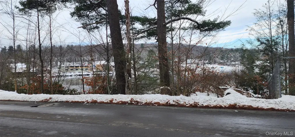 20 Hasbrouck A Road Loch Sheldrake NY 12759