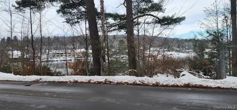 20 Hasbrouck A Road Loch Sheldrake NY 12759