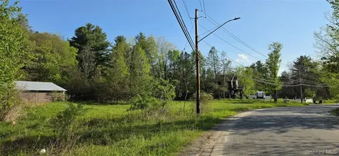 20 Hasbrouck A Road Loch Sheldrake NY 12759