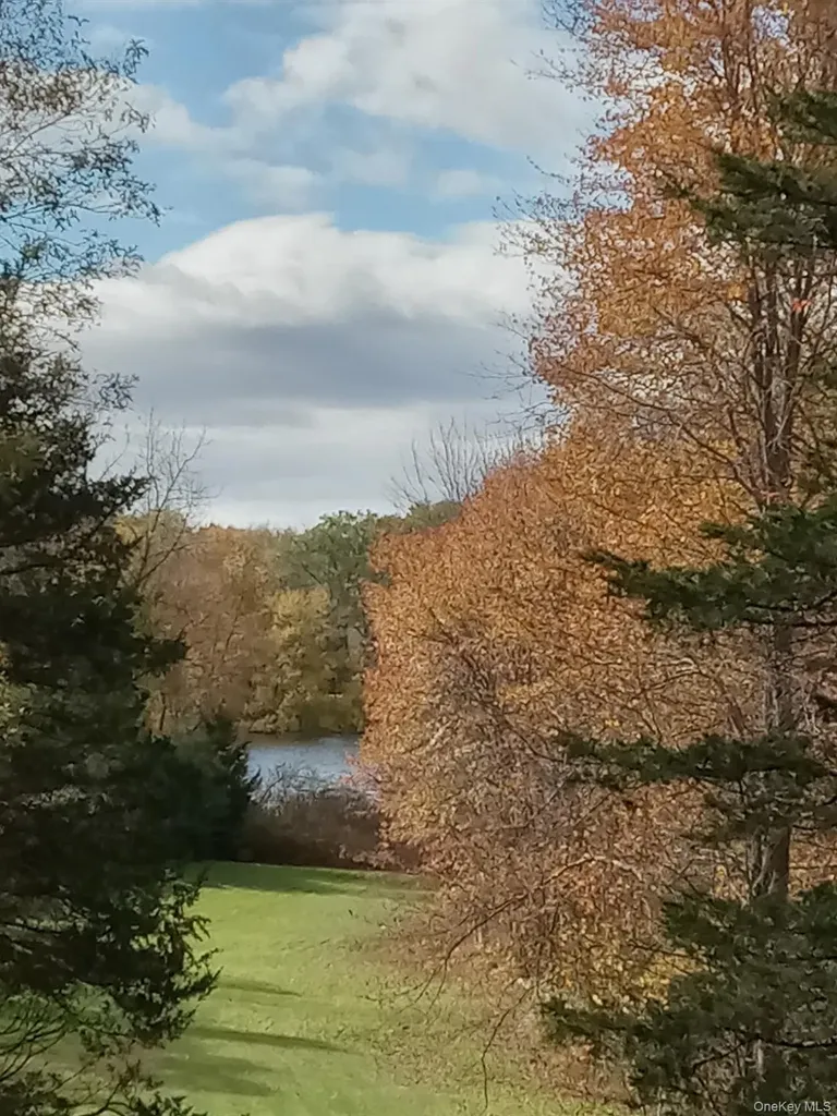 46 Patricia Lane Clinton Corners NY 12514