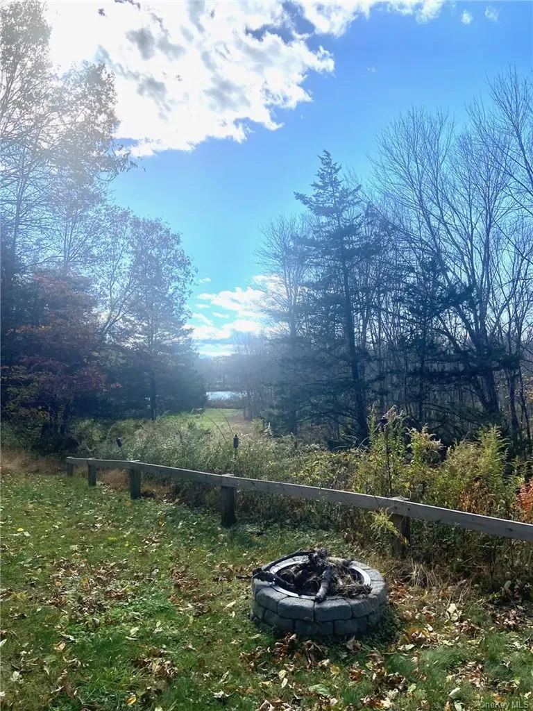 46 Patricia Lane Clinton Corners NY 12514