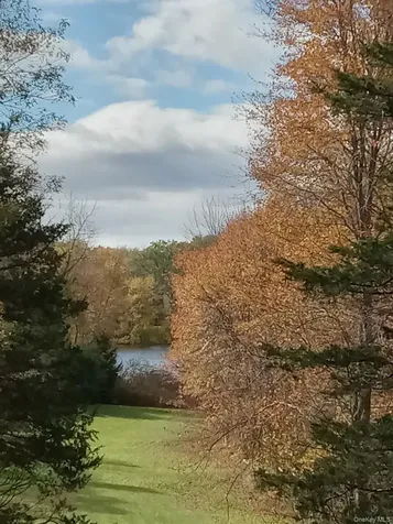 46 Patricia Lane Clinton Corners NY 12514