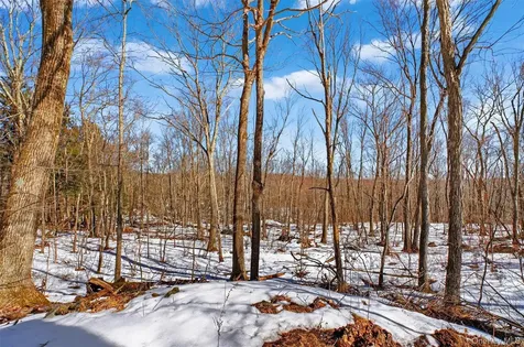 208 Ressique Road Stormville NY 12582