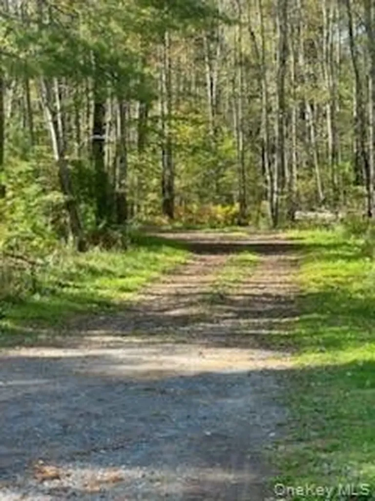 10 Dorm Drive Fallsburg NY 12747