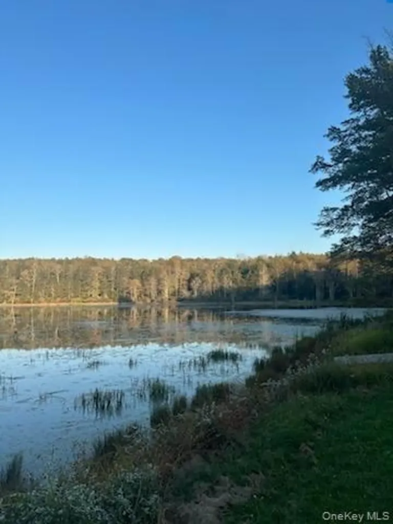 10 Dorm Drive Fallsburg NY 12747