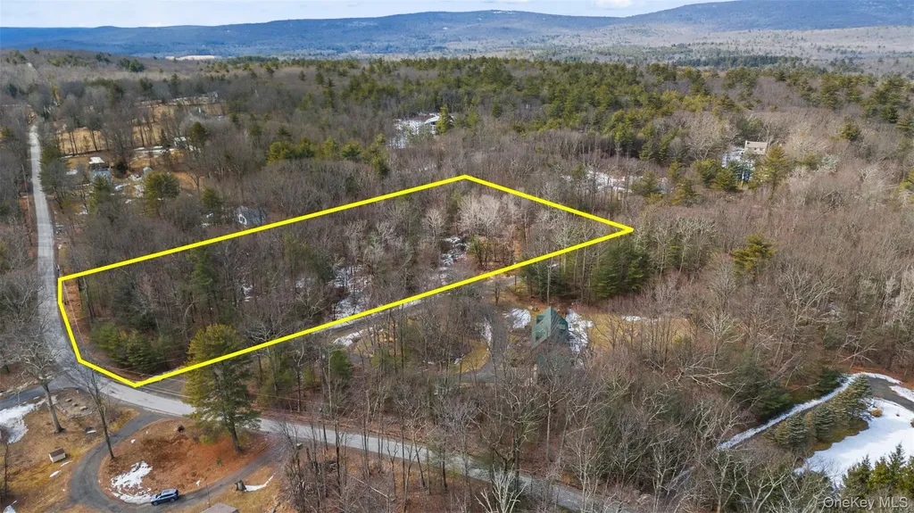 Tbd Mountain View Drive Kerhonkson NY 12446