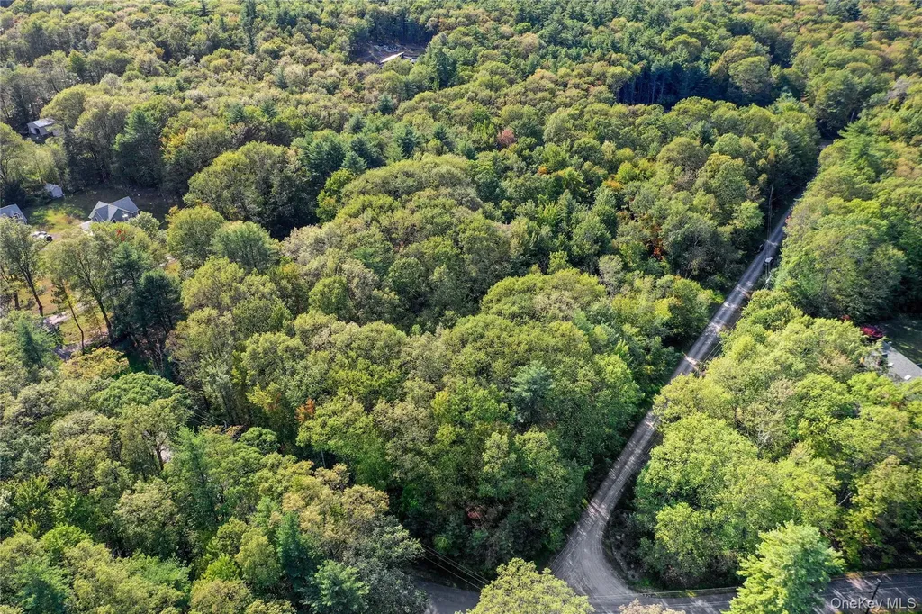 Tbd Mountain View Drive Kerhonkson NY 12446