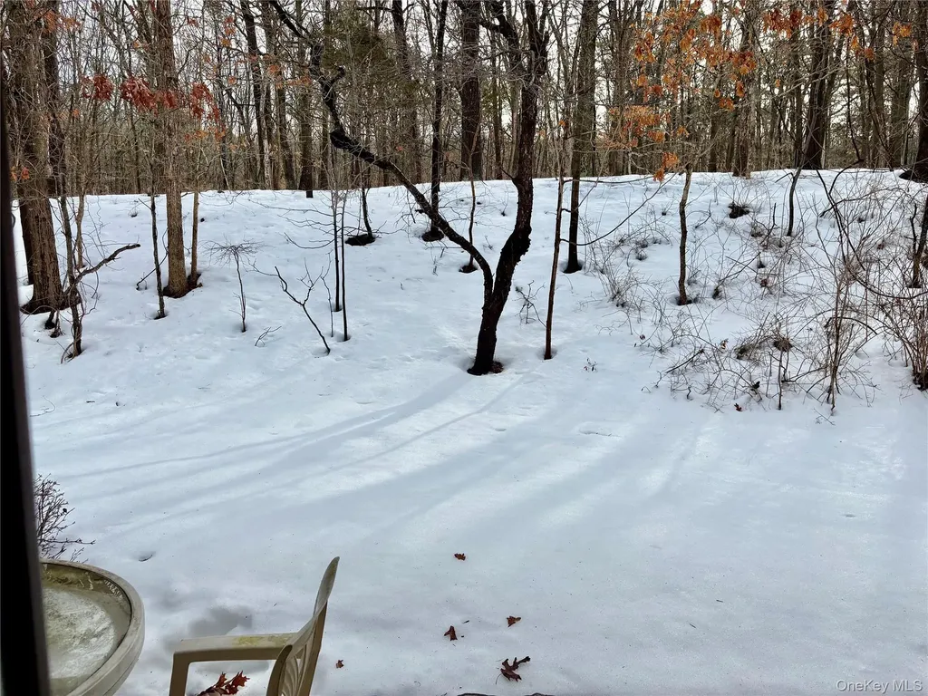 9 Willow Court Selden NY 11784