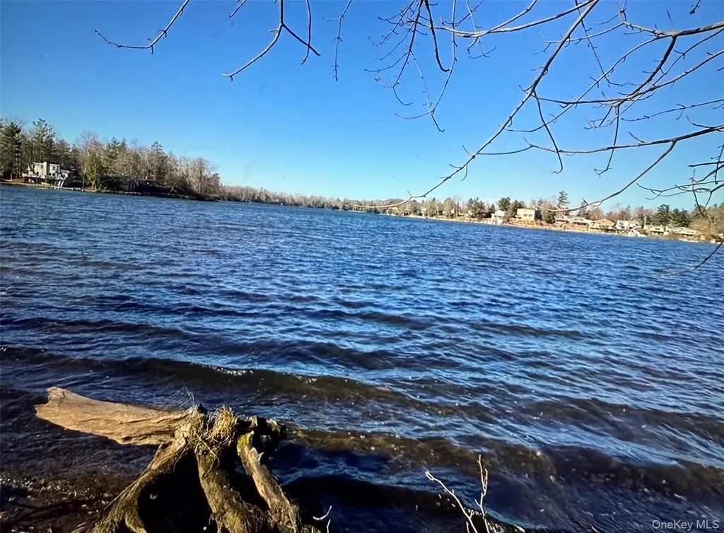 Lake Shore Drive E Rock Hill NY 12775