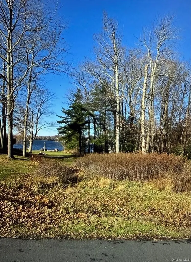 Lake Shore Drive E Rock Hill NY 12775