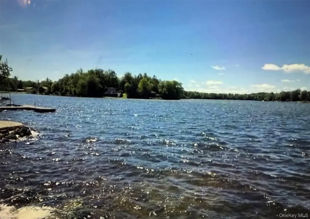 Lake Shore Drive E Rock Hill NY 12775