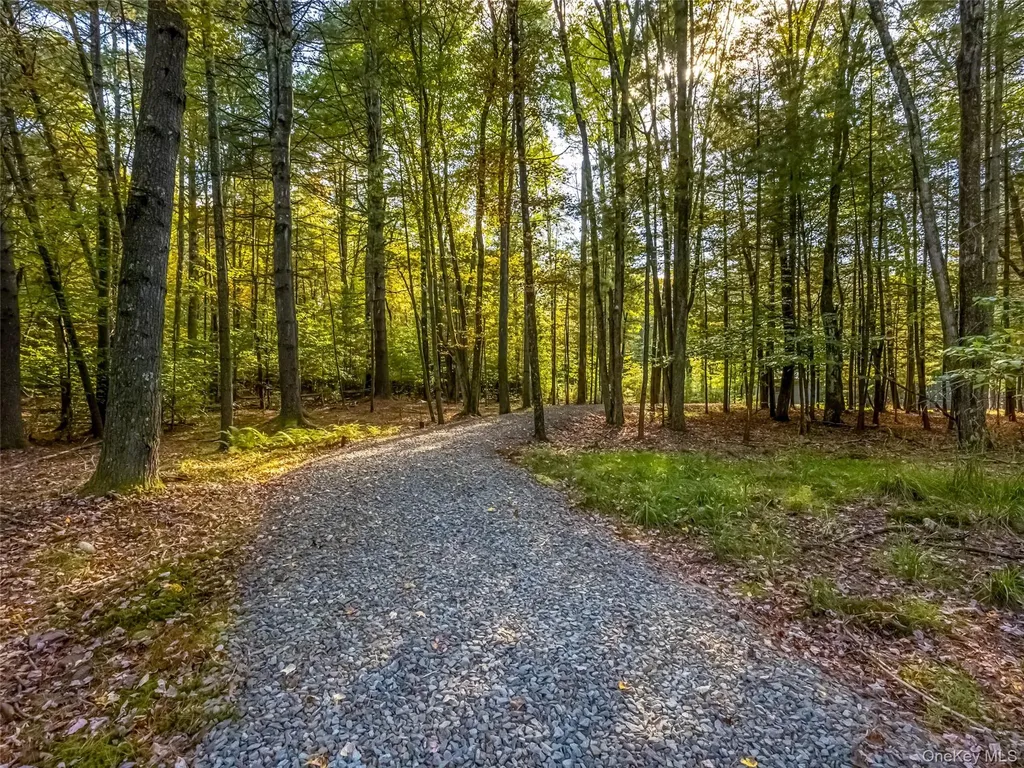 61 Top Ridge Trail White Lake NY 12786