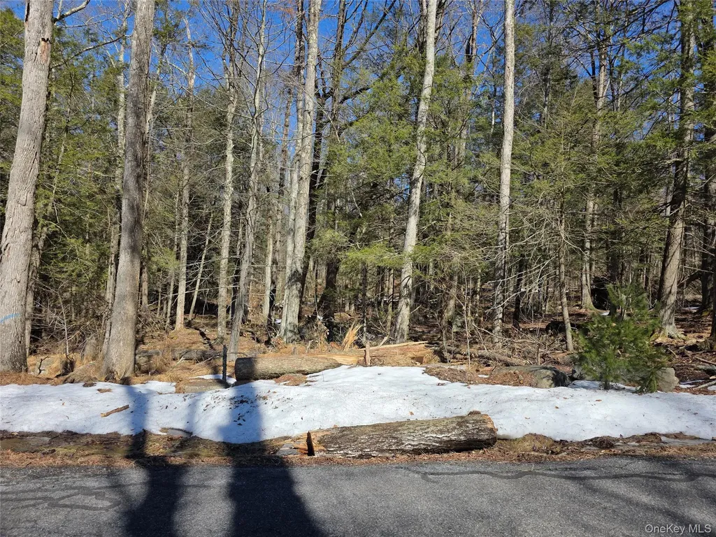 Gregory Road Monticello NY 12701