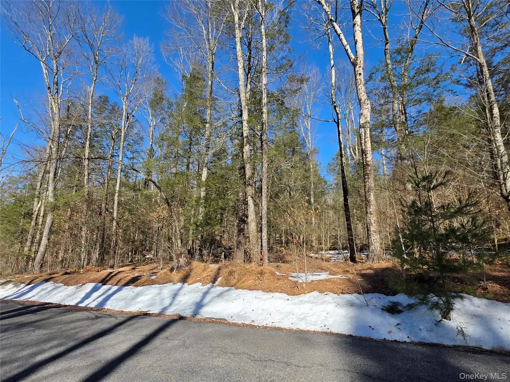 Gregory Road Monticello NY 12701