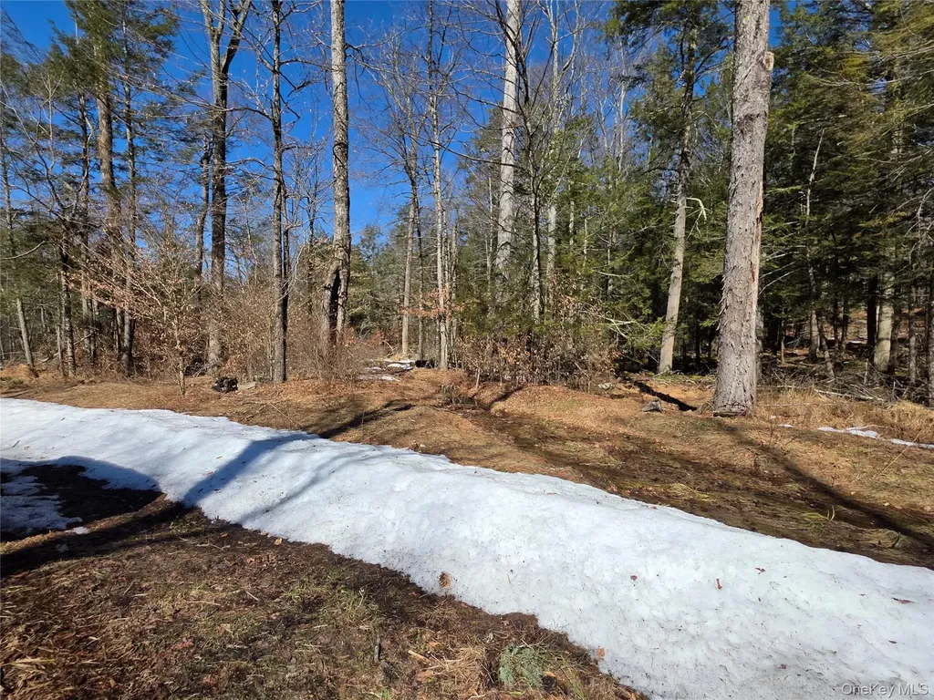 Gregory Road Monticello NY 12701