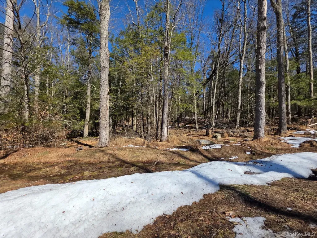 Gregory Road Monticello NY 12701
