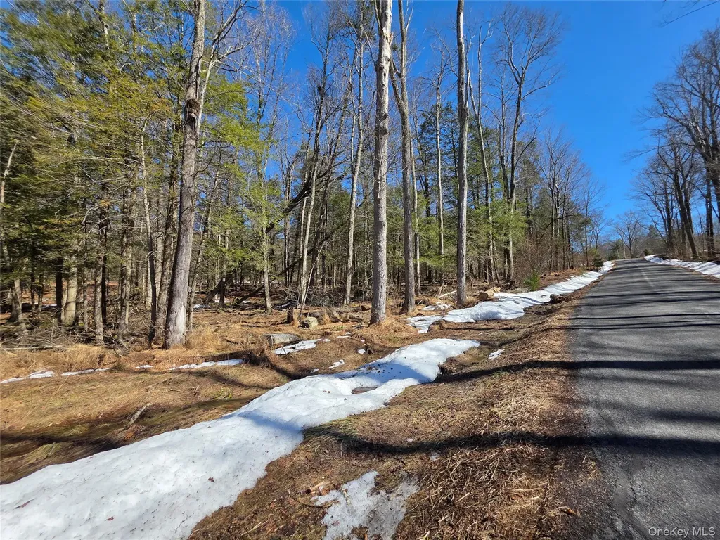 Gregory Road Monticello NY 12701