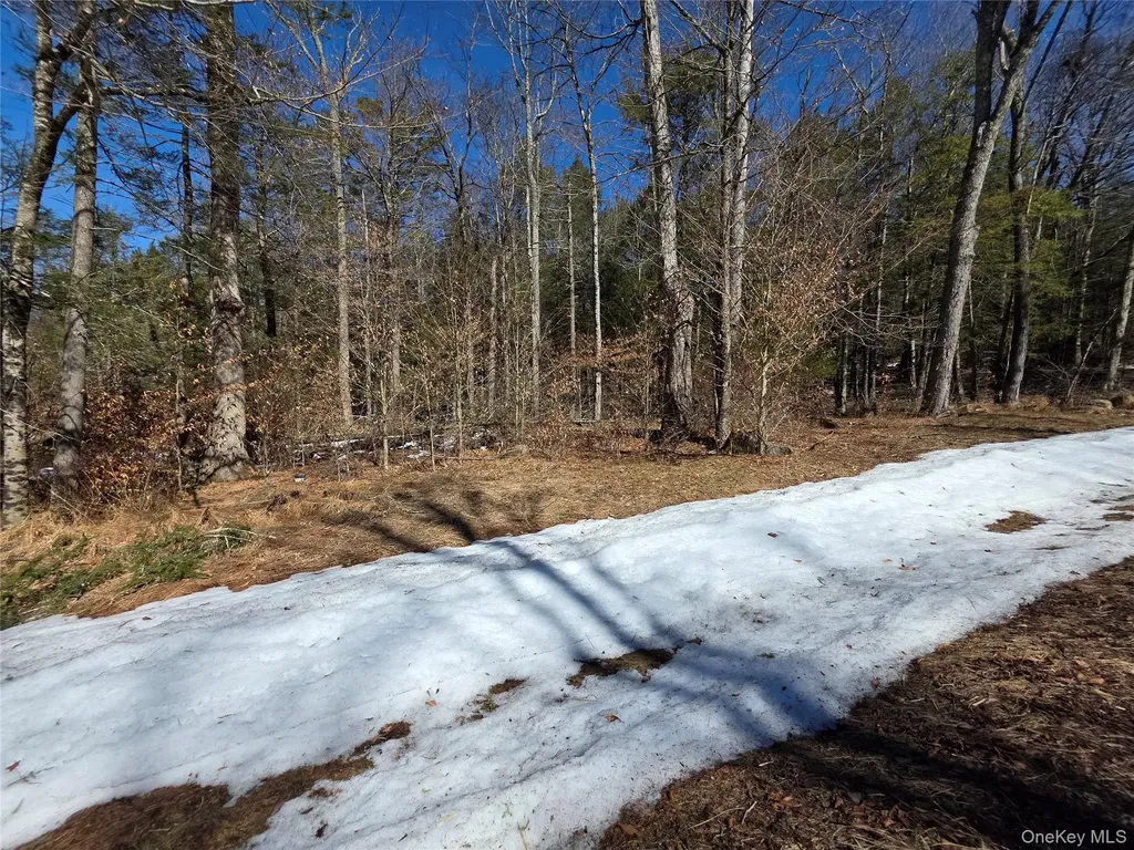 Gregory Road Monticello NY 12701