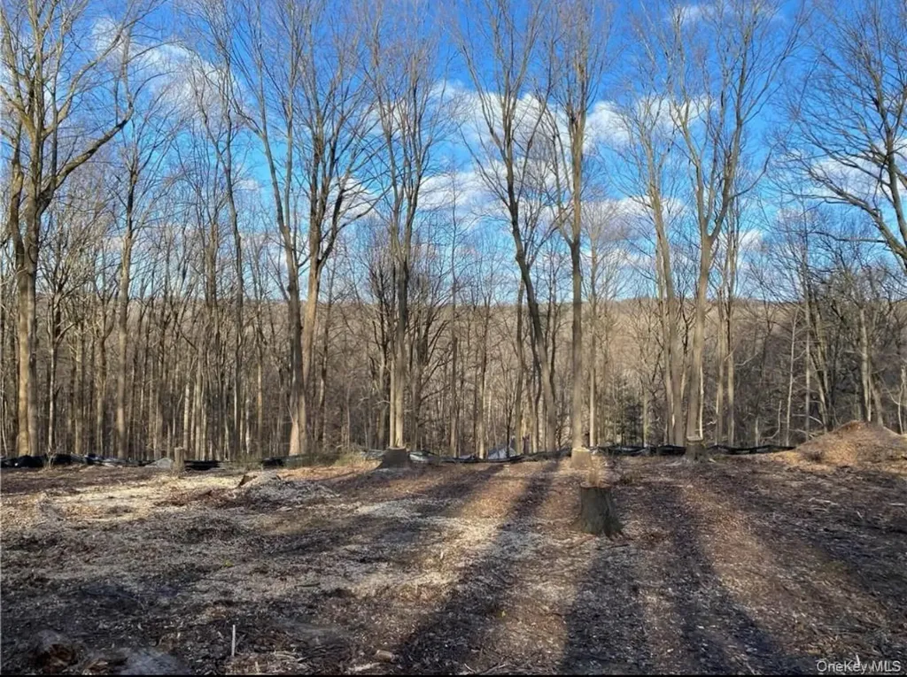 11 Whippoorwill Lane Armonk NY 10504