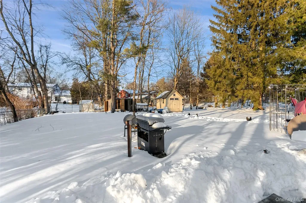 6 Merrick Lane Spring Valley NY 10977