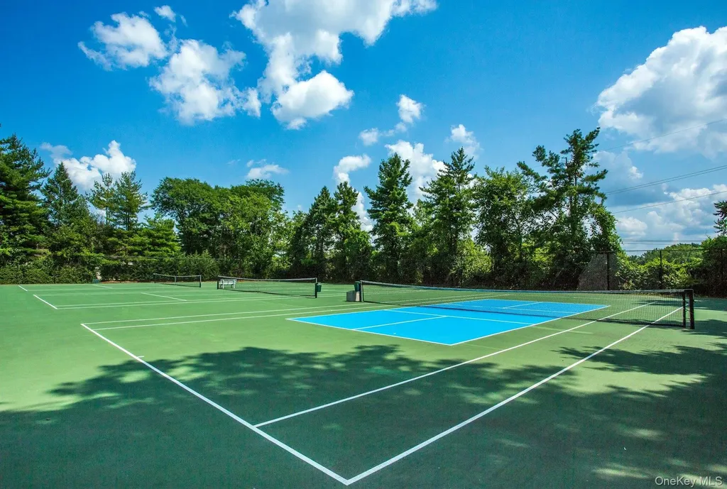 232 Linnet Court Manhasset NY 11030