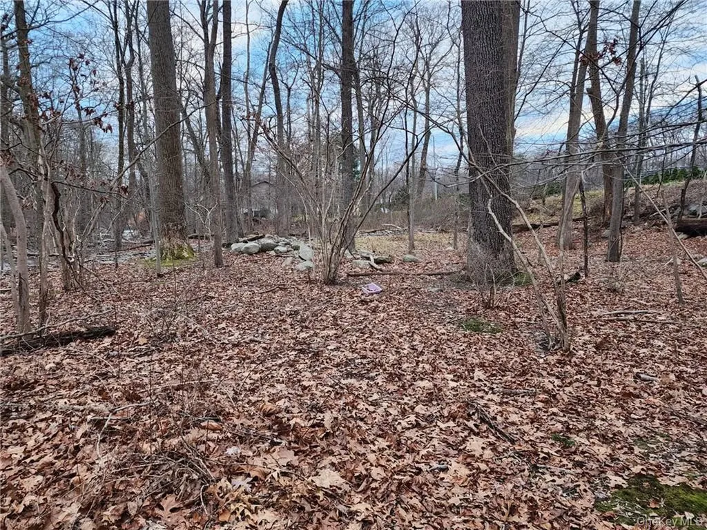 458 Pascack Road Spring Valley NY 10977