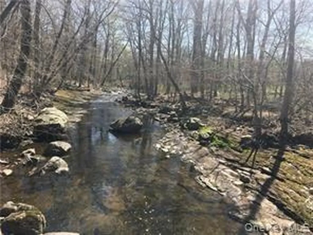 458 Pascack Road Spring Valley NY 10977