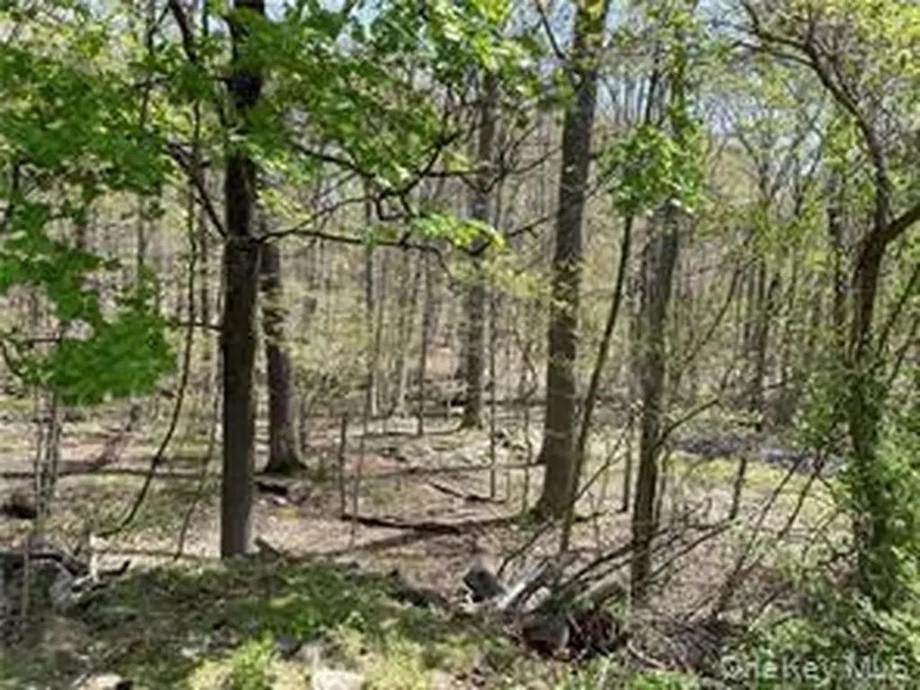 458 Pascack Road Spring Valley NY 10977