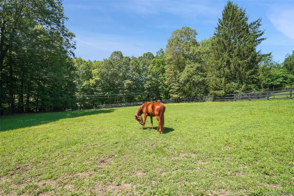 48 Davids Way Bedford Hills NY 10507