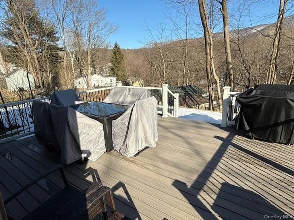 42 Wesley Avenue Beacon NY 12508