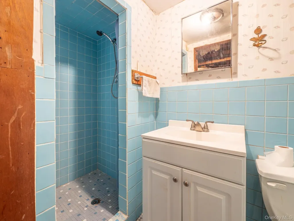 8910 218th Place Queens Village NY 11427