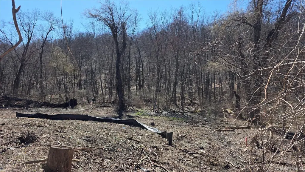 91 Barrett Hill Road Carmel NY 10512