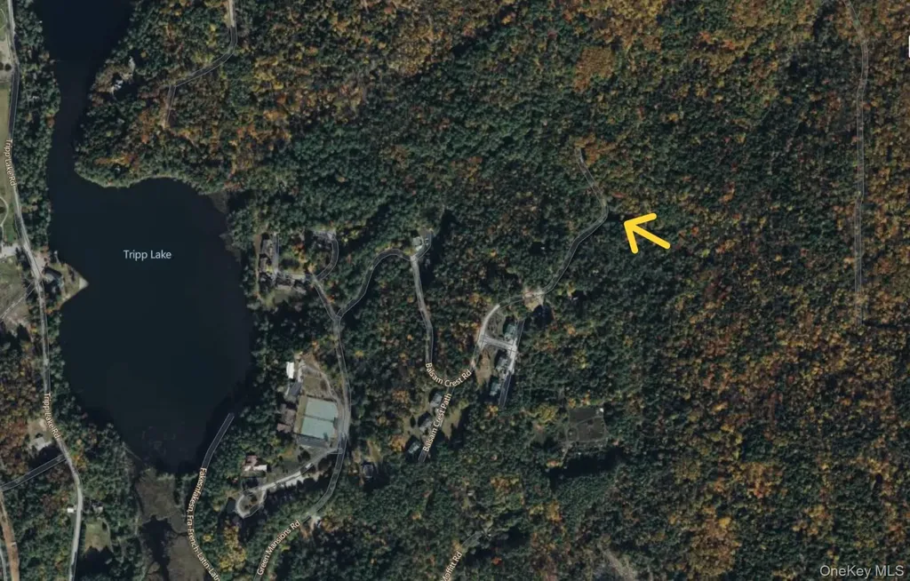 112 Balsam Crest Road Call Listing Agent NY 12817