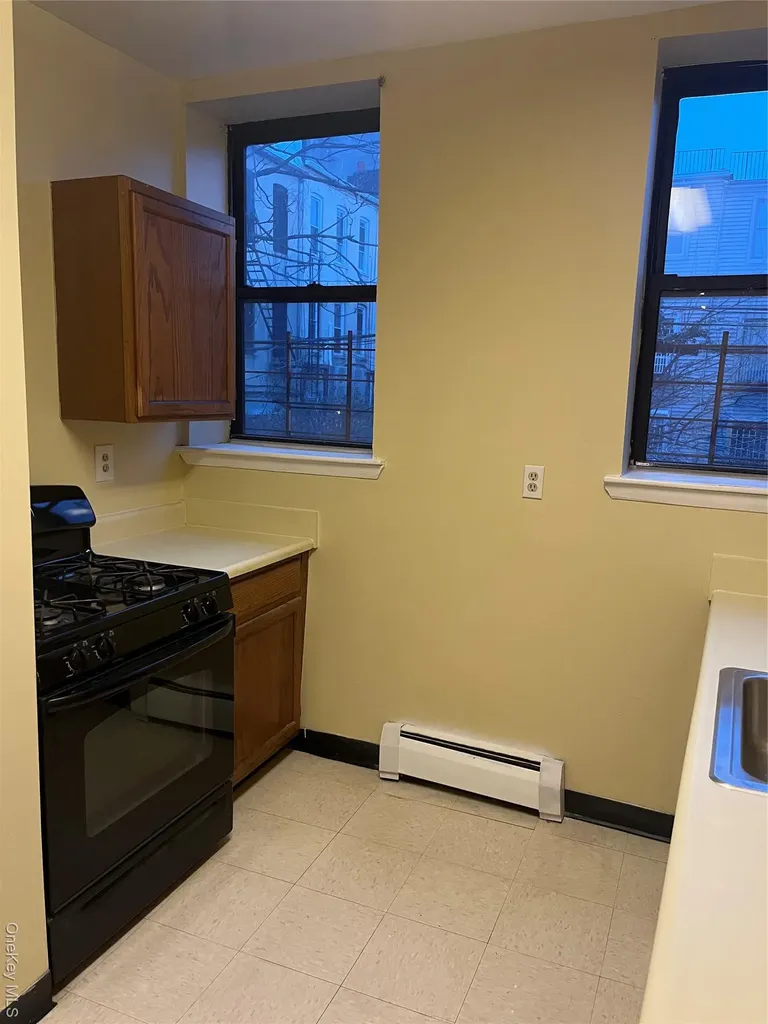 246 Sumpter Street Brooklyn NY 11233