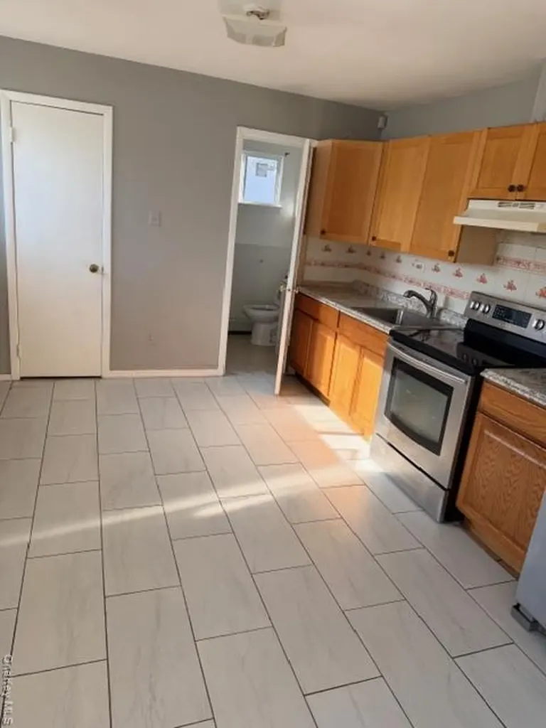 294 40th Street Copiague NY 11726