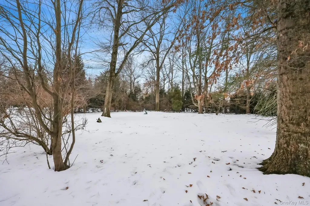 7 Mayflower Road Scarsdale NY 10583