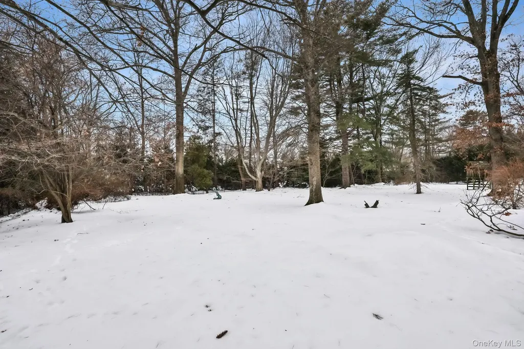 7 Mayflower Road Scarsdale NY 10583