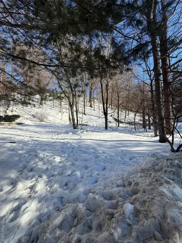 11 Abraham Gunn Memorial Drive Cortlandt Manor NY 10567