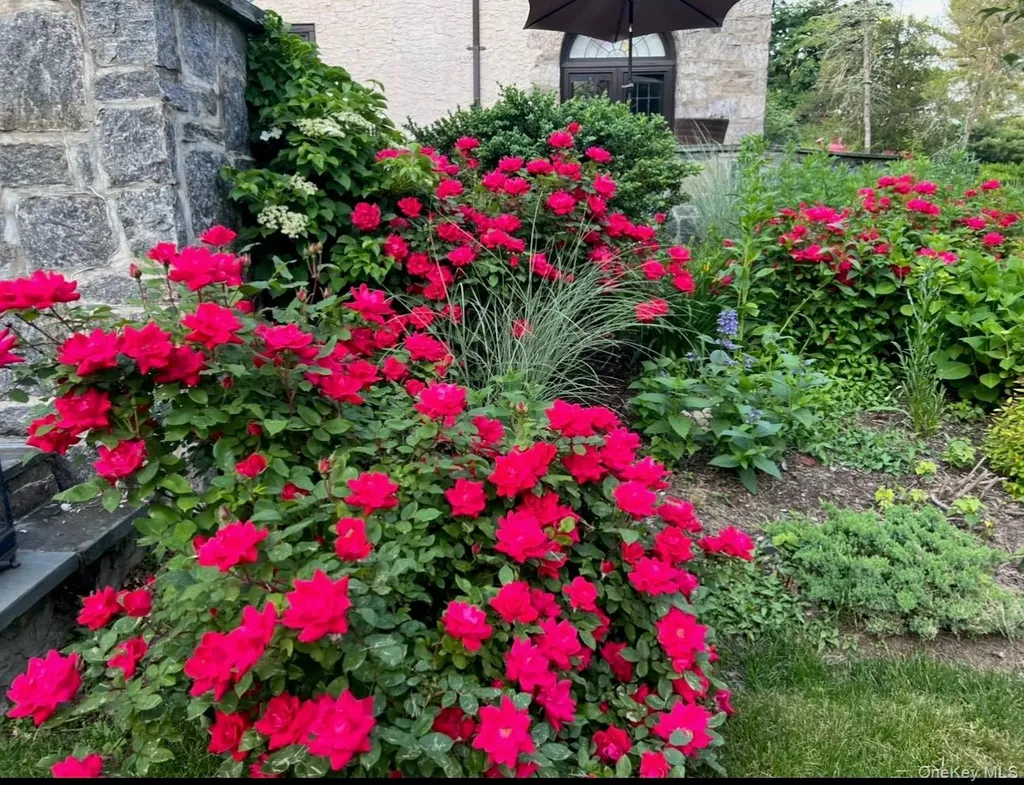 66 Mamaroneck Road Scarsdale NY 10583