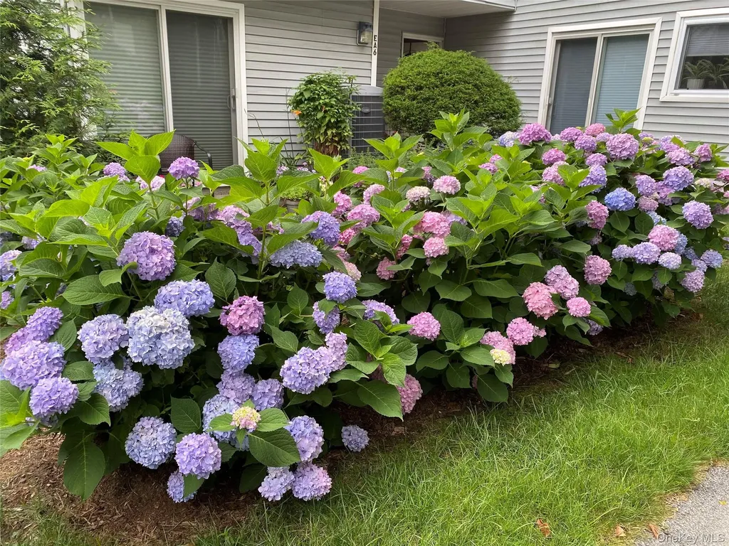 208 Harris Road Bedford Hills NY 10507